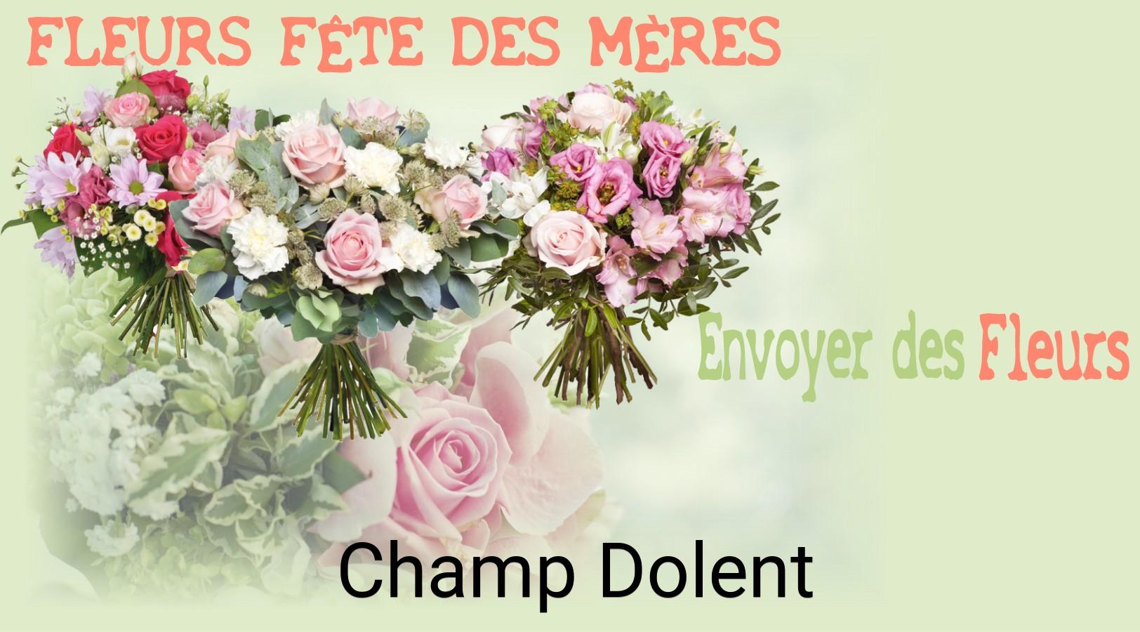 Bouquet de Fête des Mères livré à Champ-Dolent